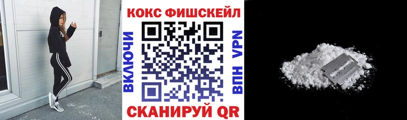 где купить наркотик  Кириши  КОКАИН FishScale 