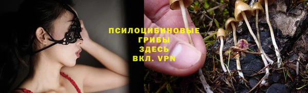 гидра Богданович