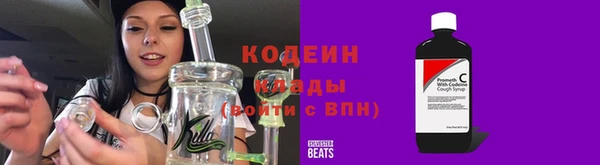 гидра Богданович