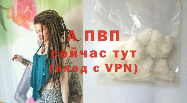 гидра Богданович